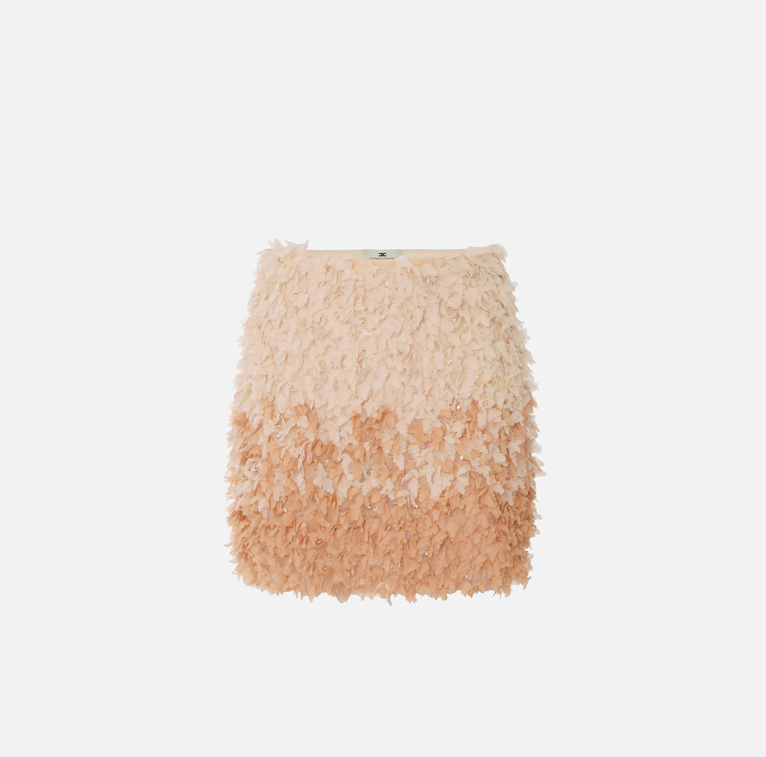 Tulle miniskirt with floral embroideries | Elisabetta Franchi