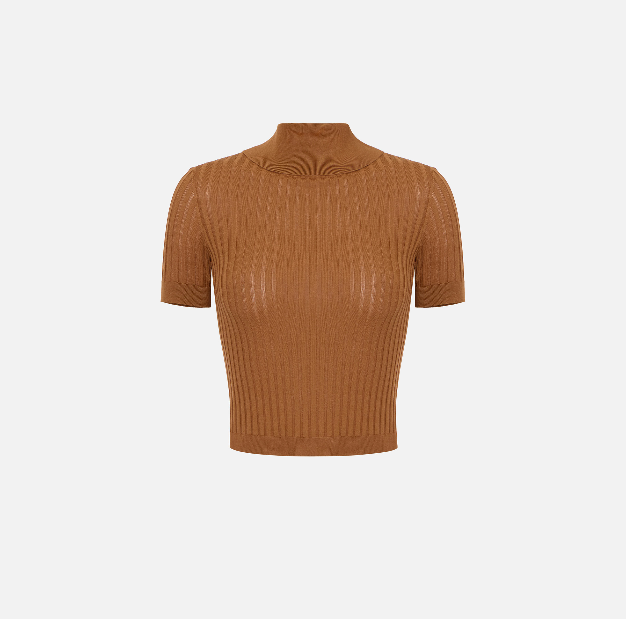 Sheer knit top | Elisabetta Franchi