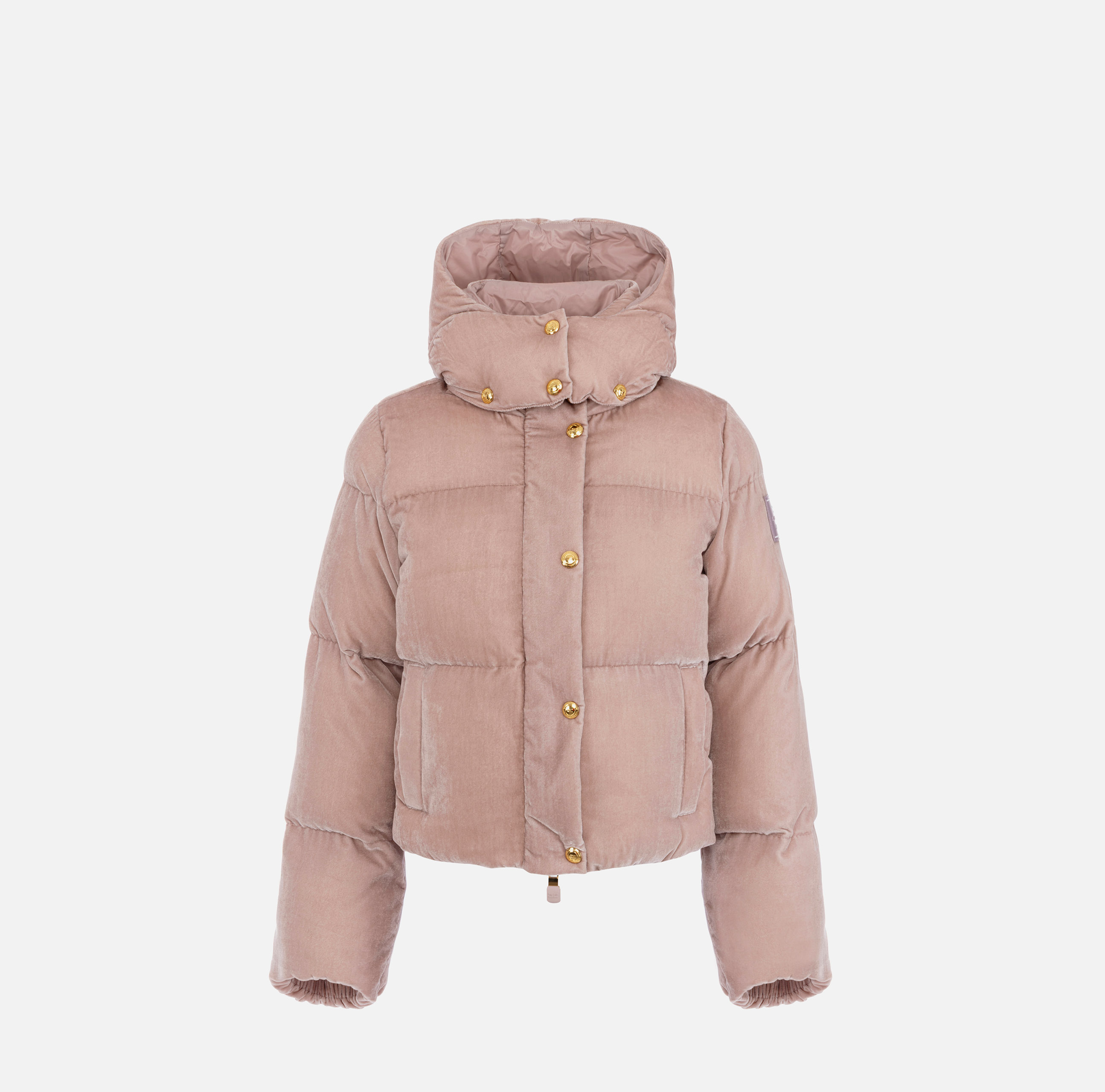 ジャケット・アウター ELISABETTA FRANCHI Elisabetta Franchi Crop velvet down jacket - Black