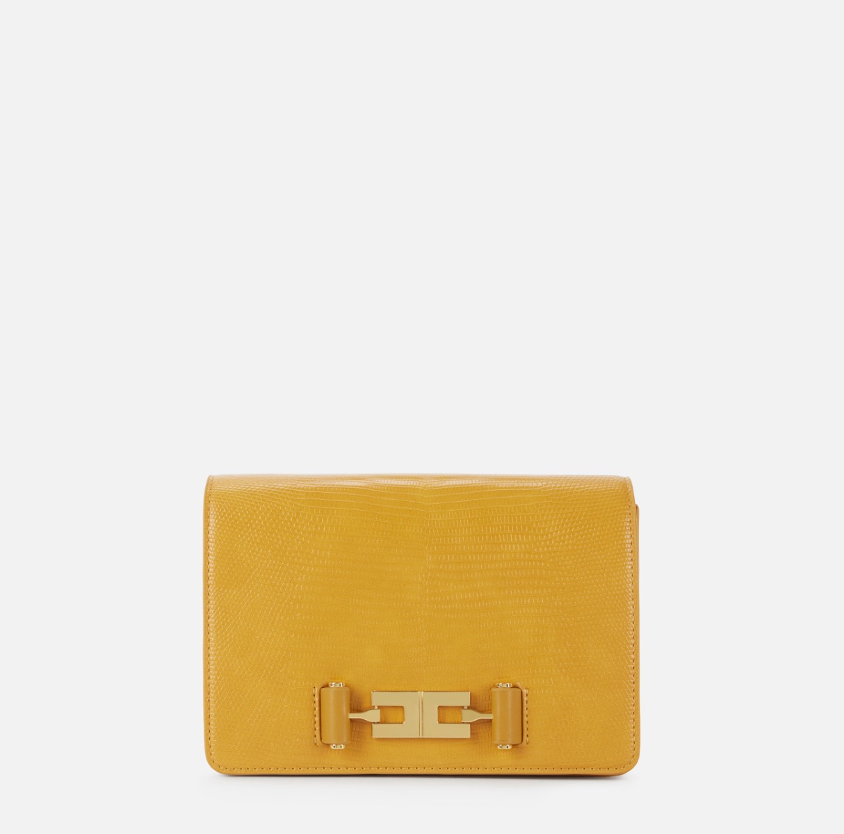 Elisabetta Franchi Women's Crossbody Bags, small and large sizes
