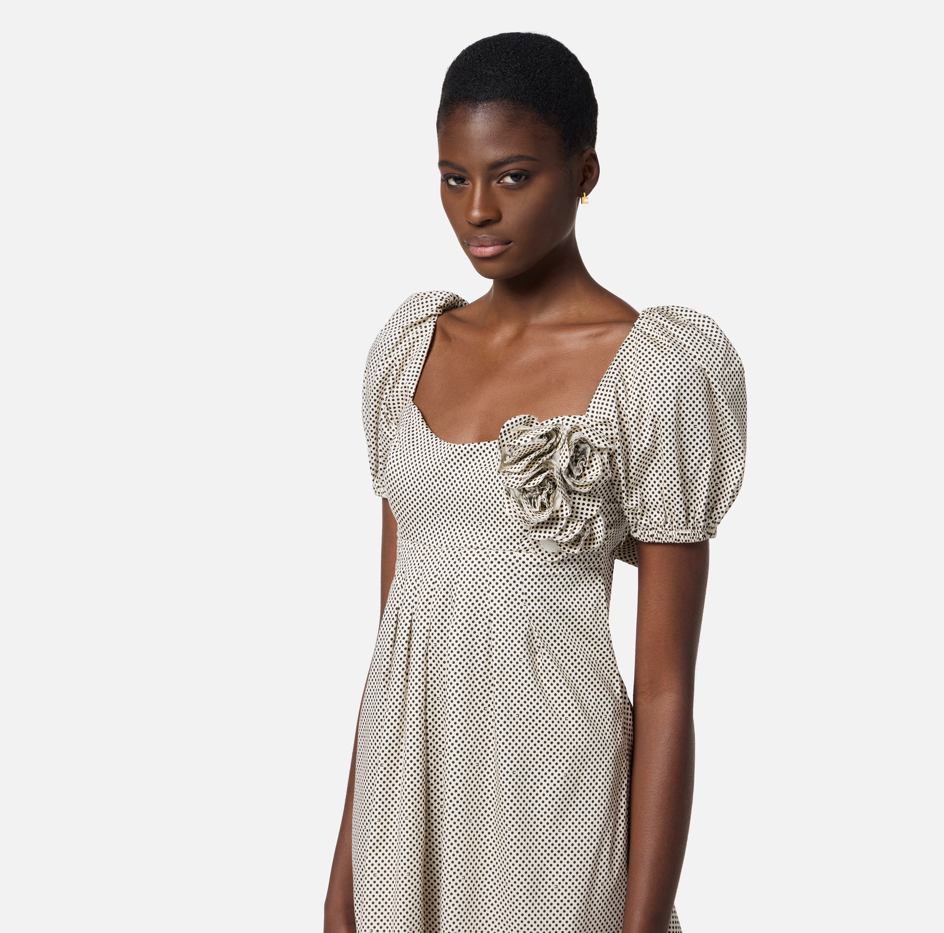 Cotton dress with polka dot print and embroidered roses - Elisabetta Franchi