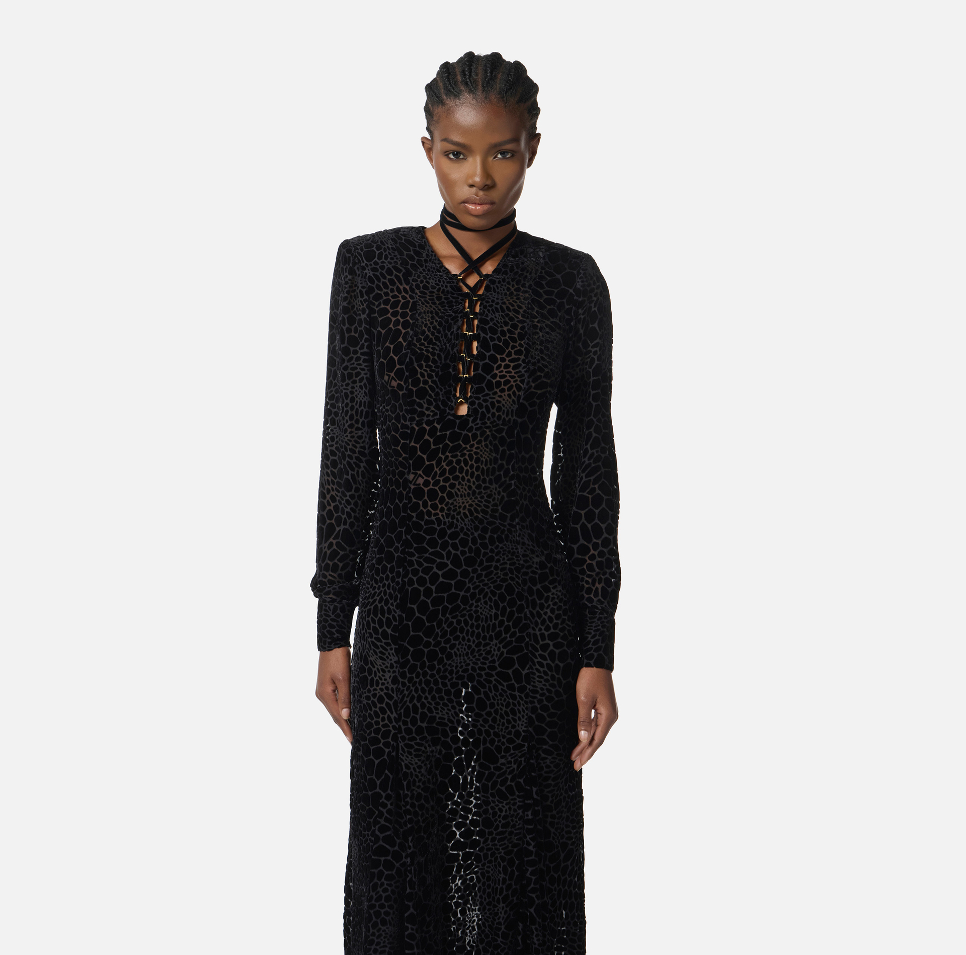 Vestido Red Carpet de terciopelo devoré - Elisabetta Franchi