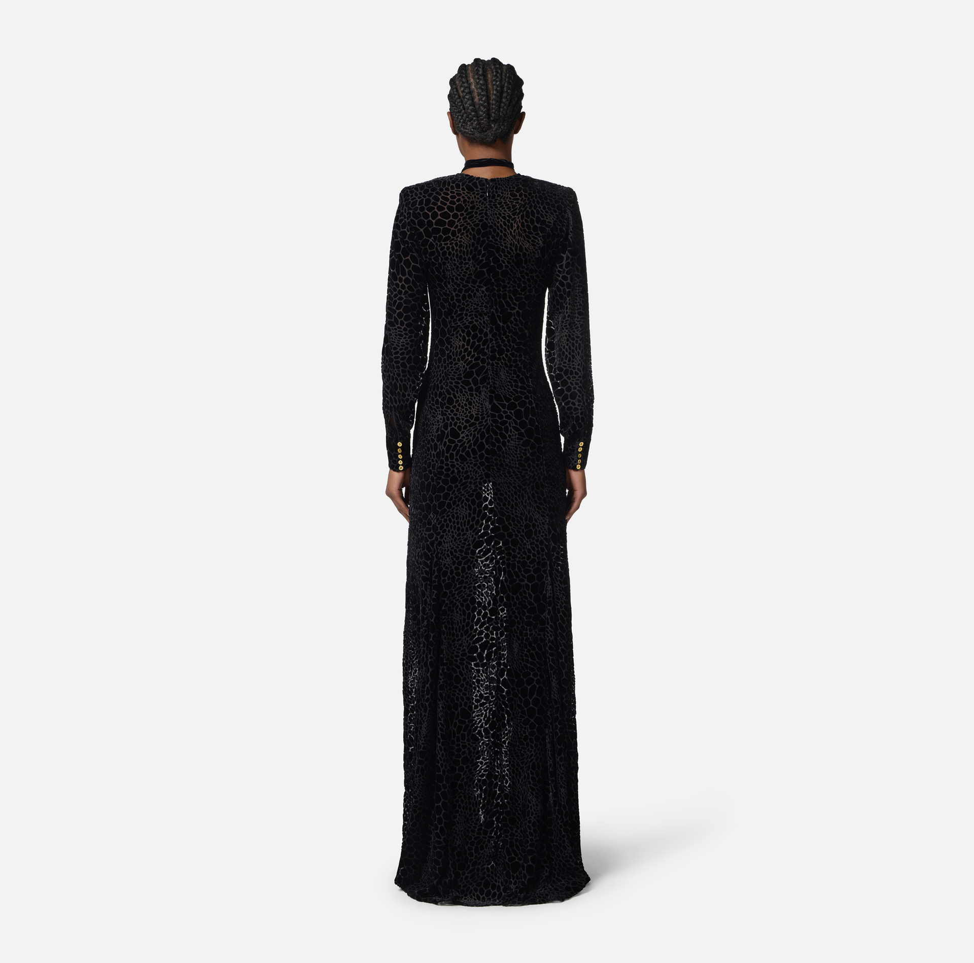 Vestido Red Carpet de terciopelo devoré - Elisabetta Franchi
