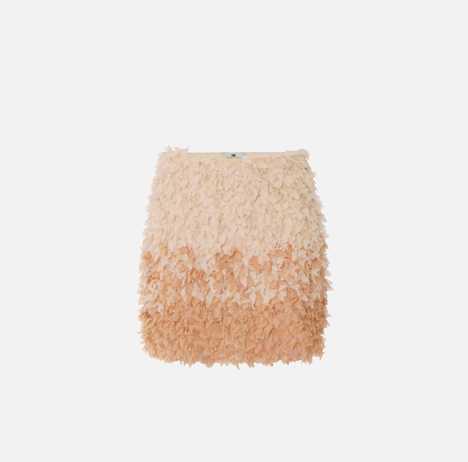 Minigonna in tulle con ricami floreali