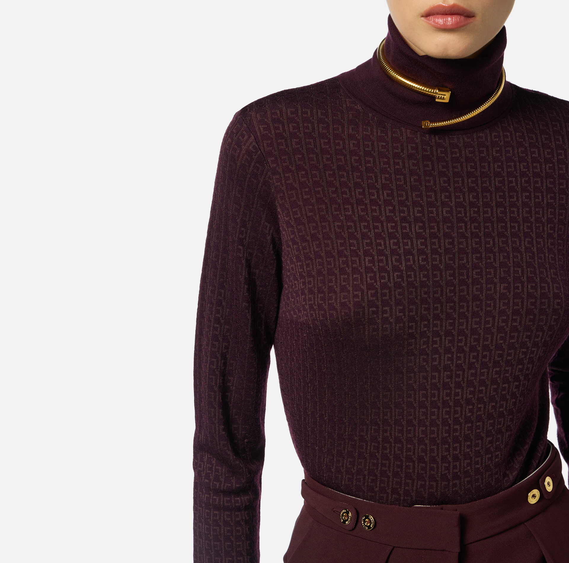 Wool jumper with jacquard micro-logo - Elisabetta Franchi