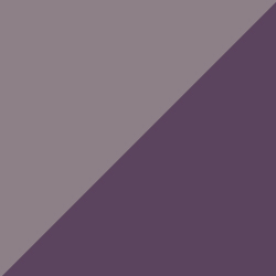 Bonbon Violette / Prune
