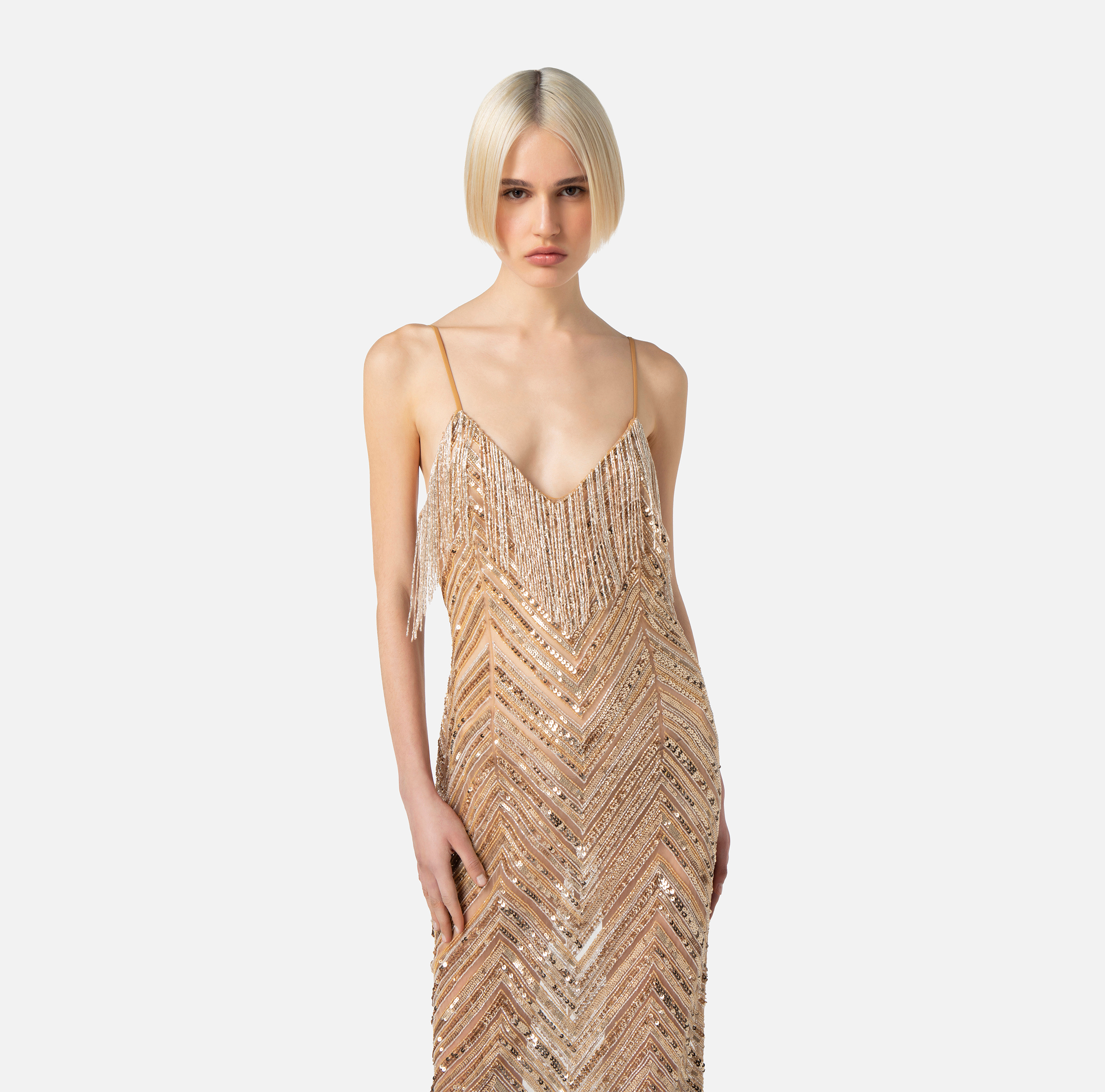 Tulle Red Carpet dress with embroidered sequins - Elisabetta Franchi