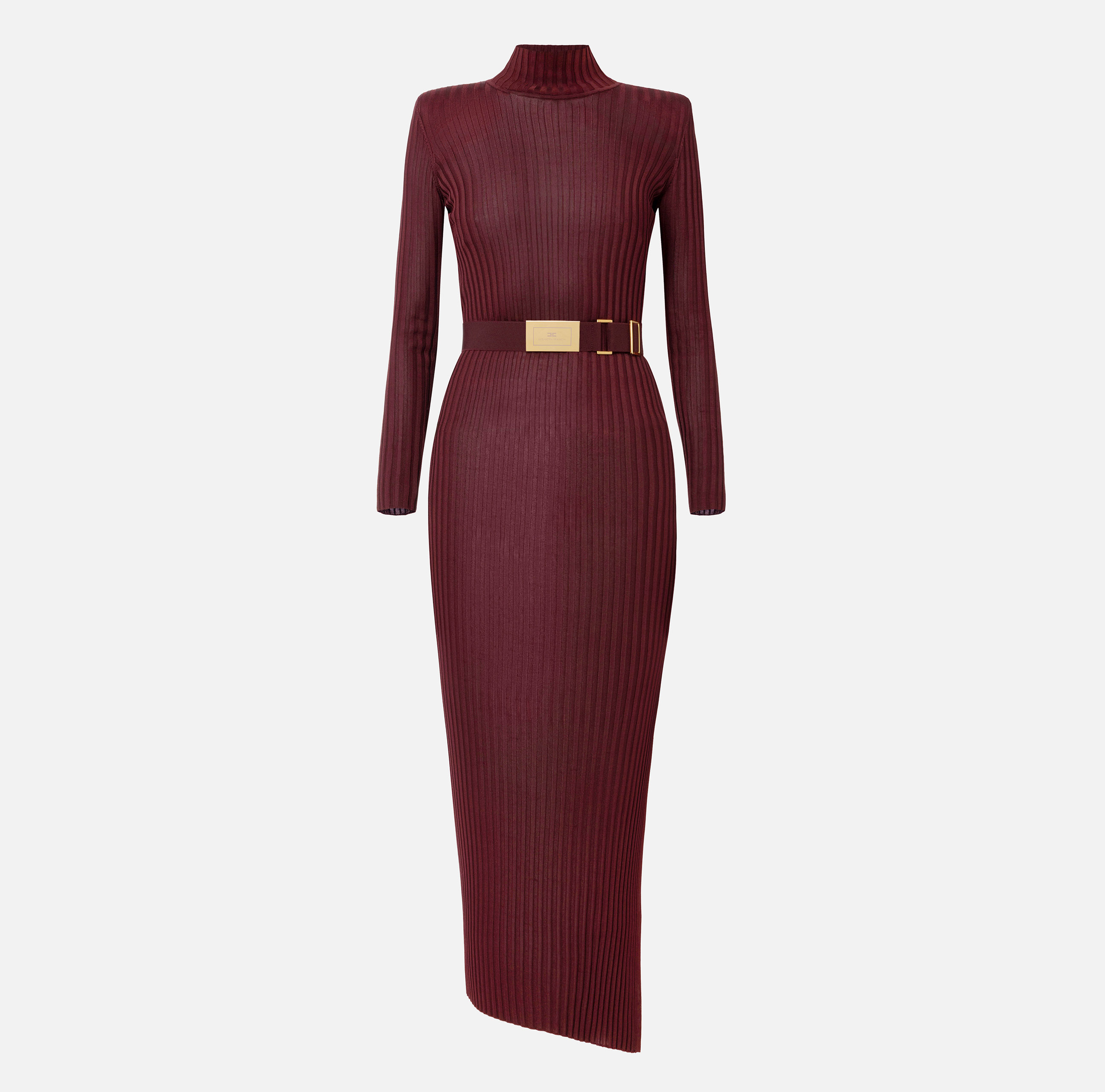 Turtleneck dress in ribbed shiny viscose fabric with belt - ABBIGLIAMENTO - Elisabetta Franchi